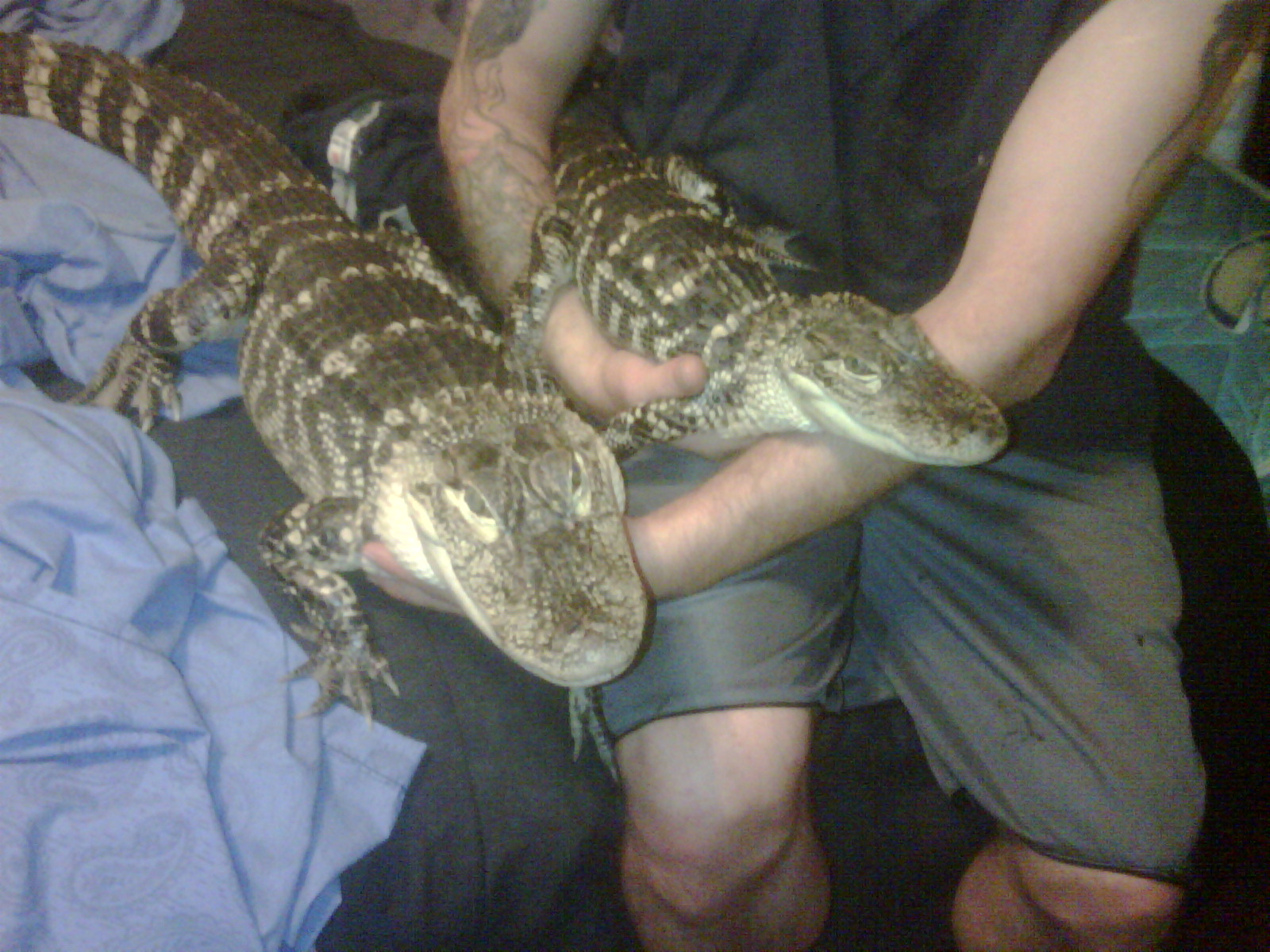 George & Trixie 