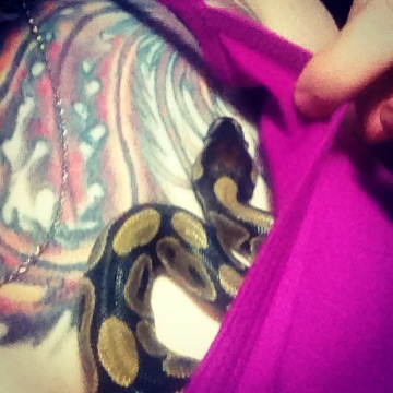 Buddha Cuddles
