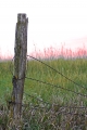 Barb Wire Post