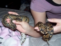 Slithers (left) and Camille (right)