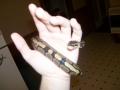 My new baby snake Kairi