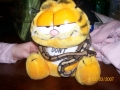 snakegarfield