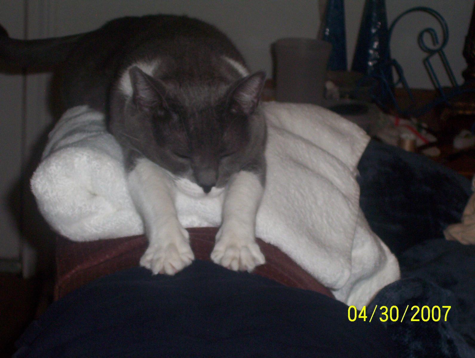 Pic057