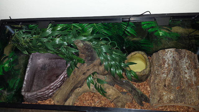 Monty's setup