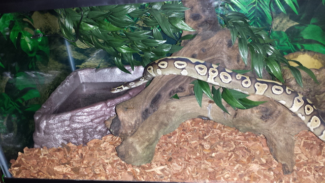 Monty exploring his setup