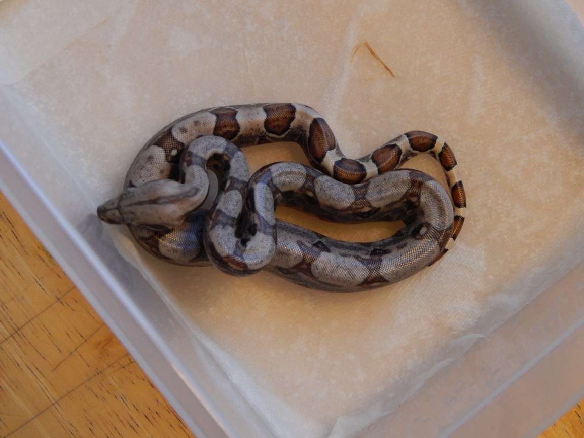 2014 Litter