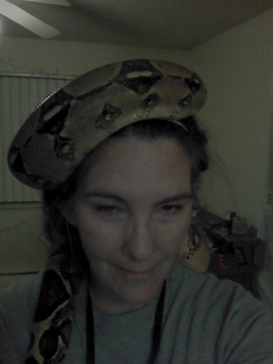 Snake hat