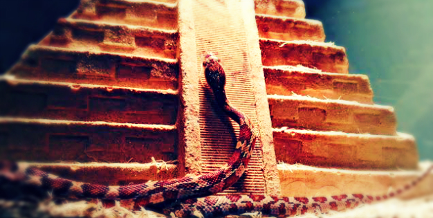 Nagini 1