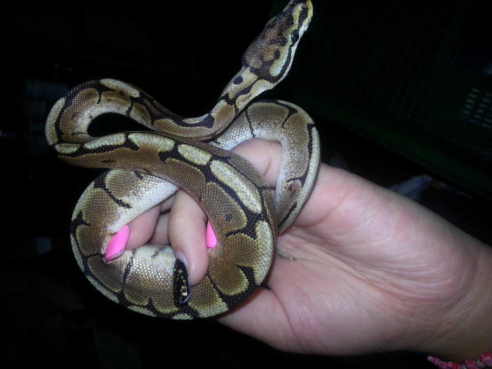 babies!