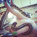 Checkered Garter