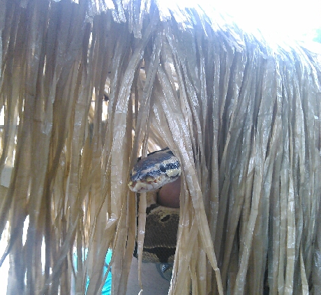 Peek a Boo
