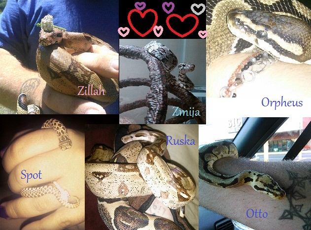 My Babies