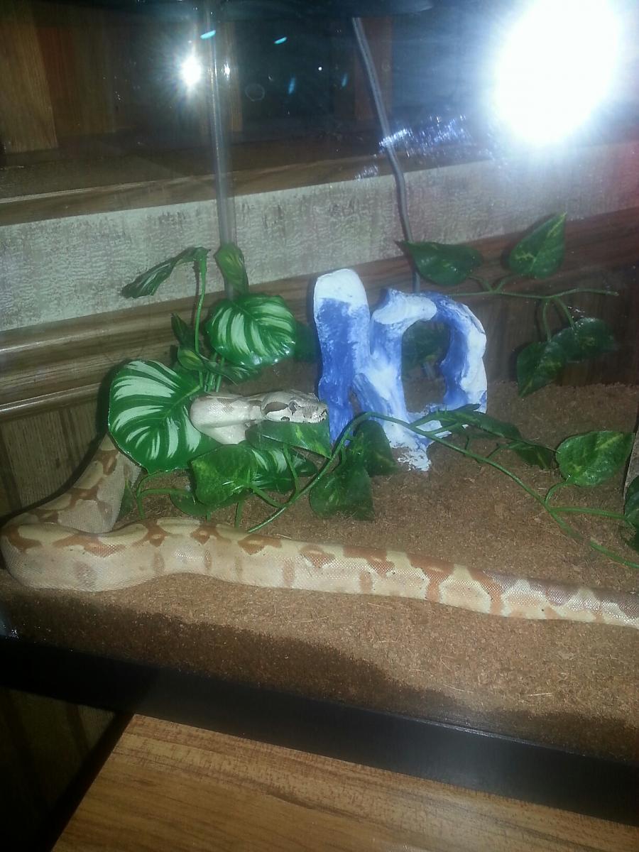 My new baby