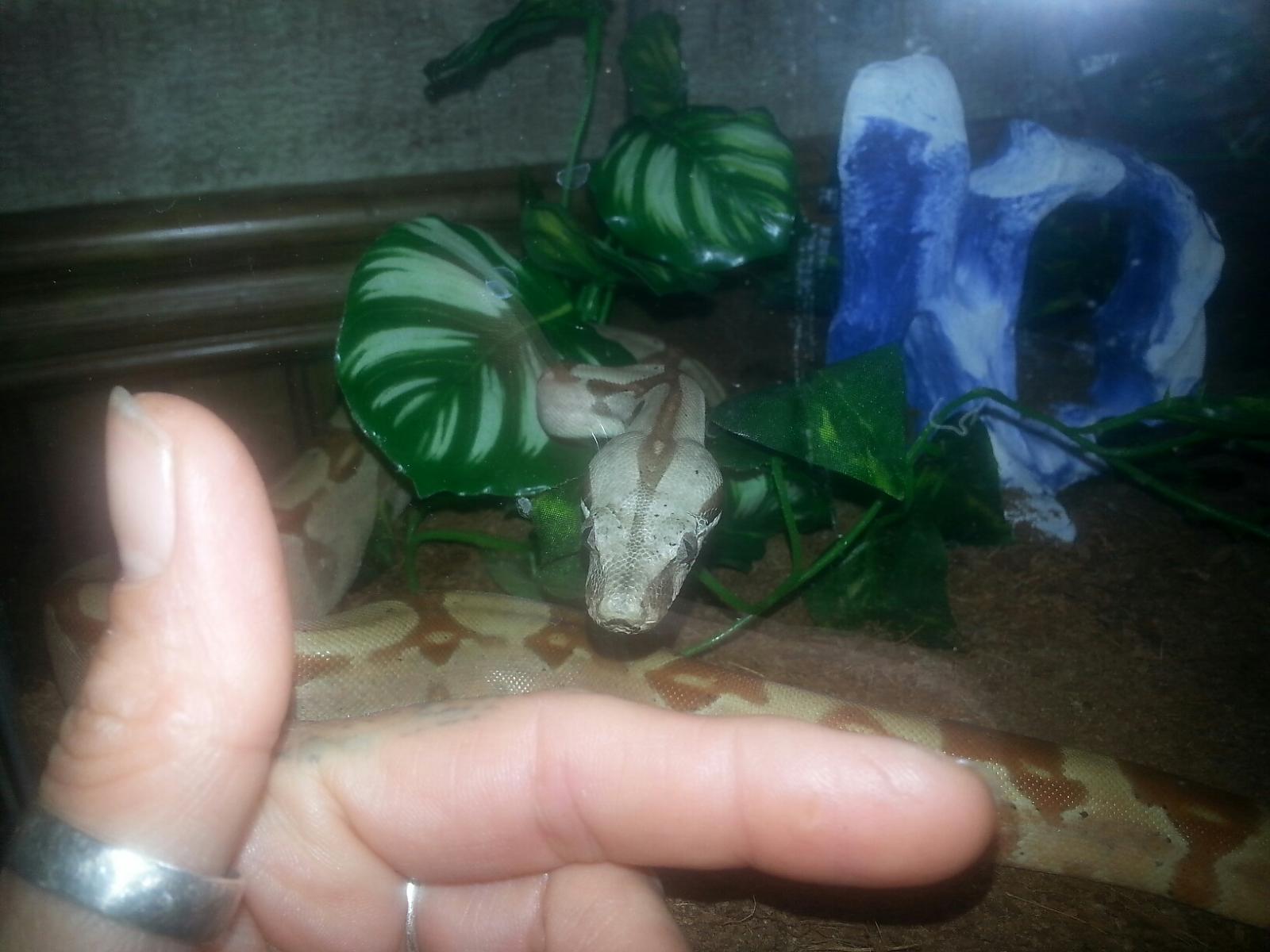 My new baby