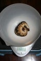 Feb 2 Clown Weight