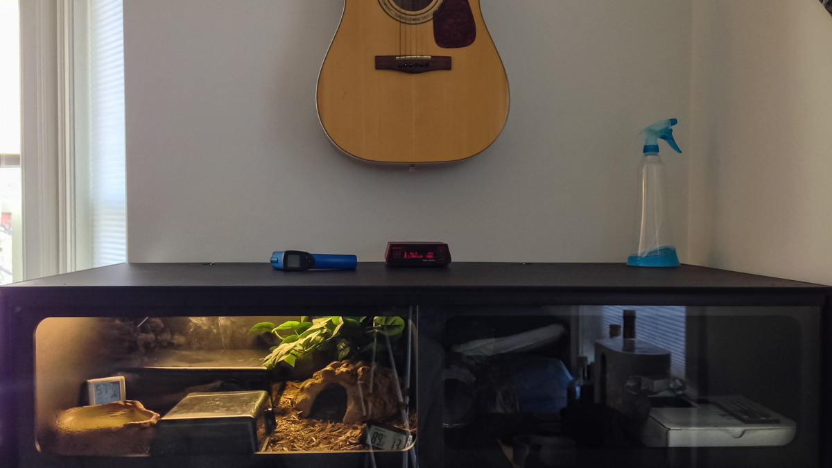 New T8 cage