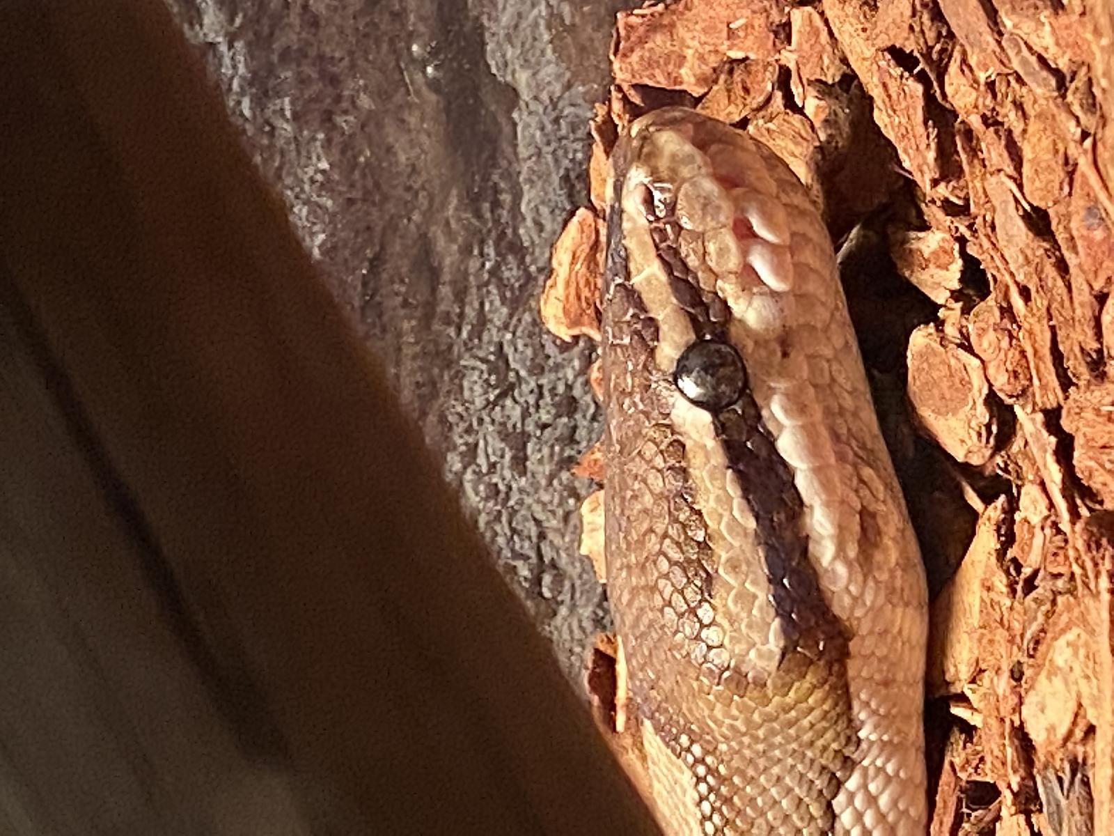 Is this normal?