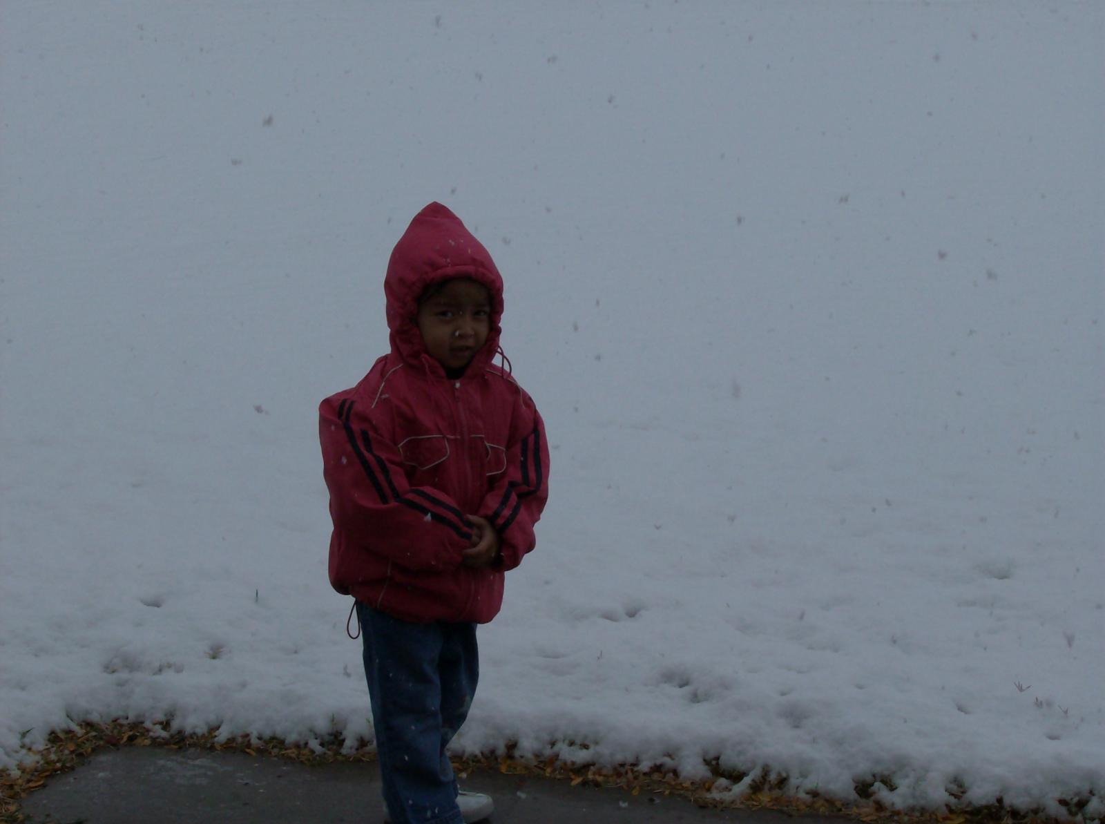 Picture002