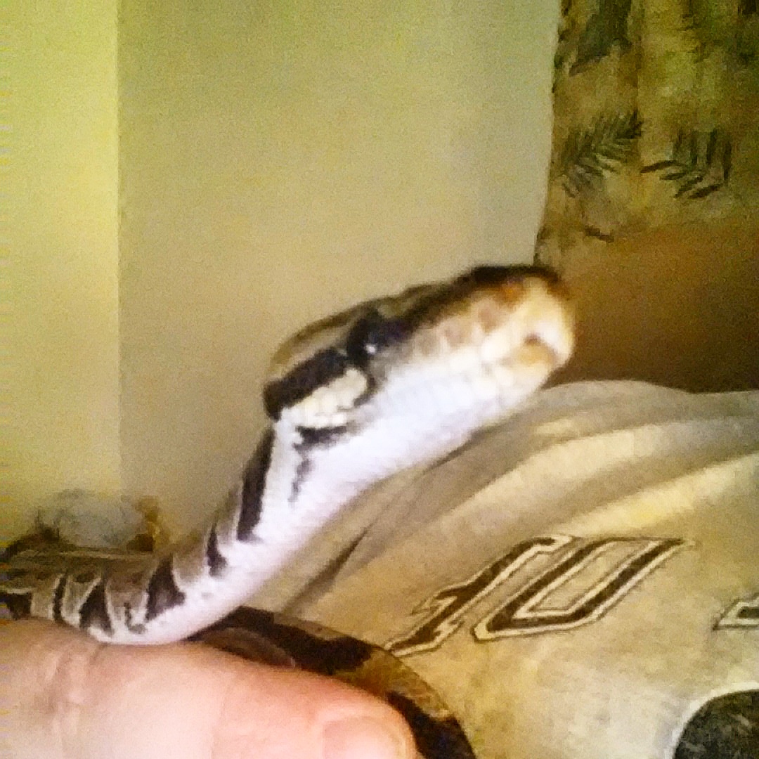 first bp ever (my baby )