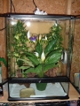 DSCF2287