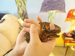 Duncan