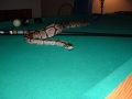 Monty on the pool table (2)