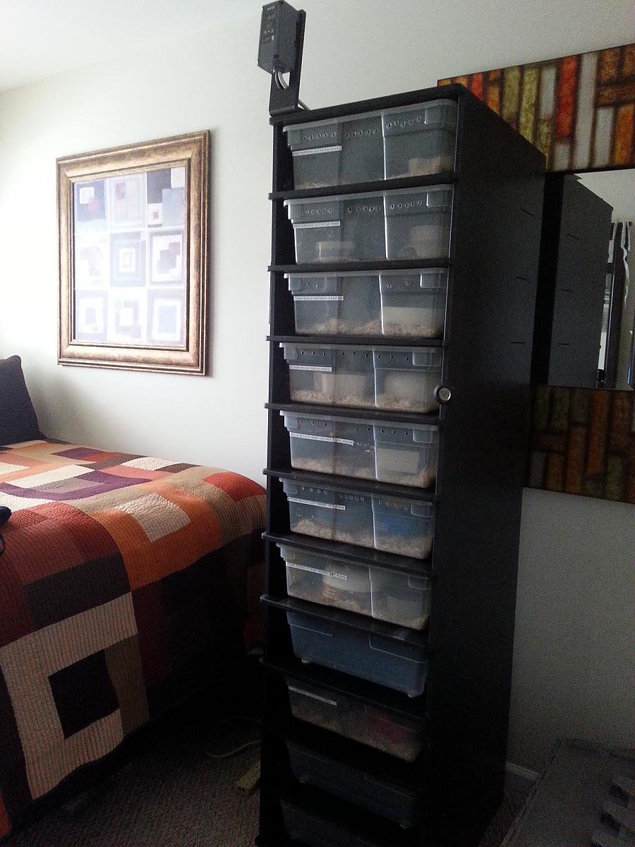 rsz rack