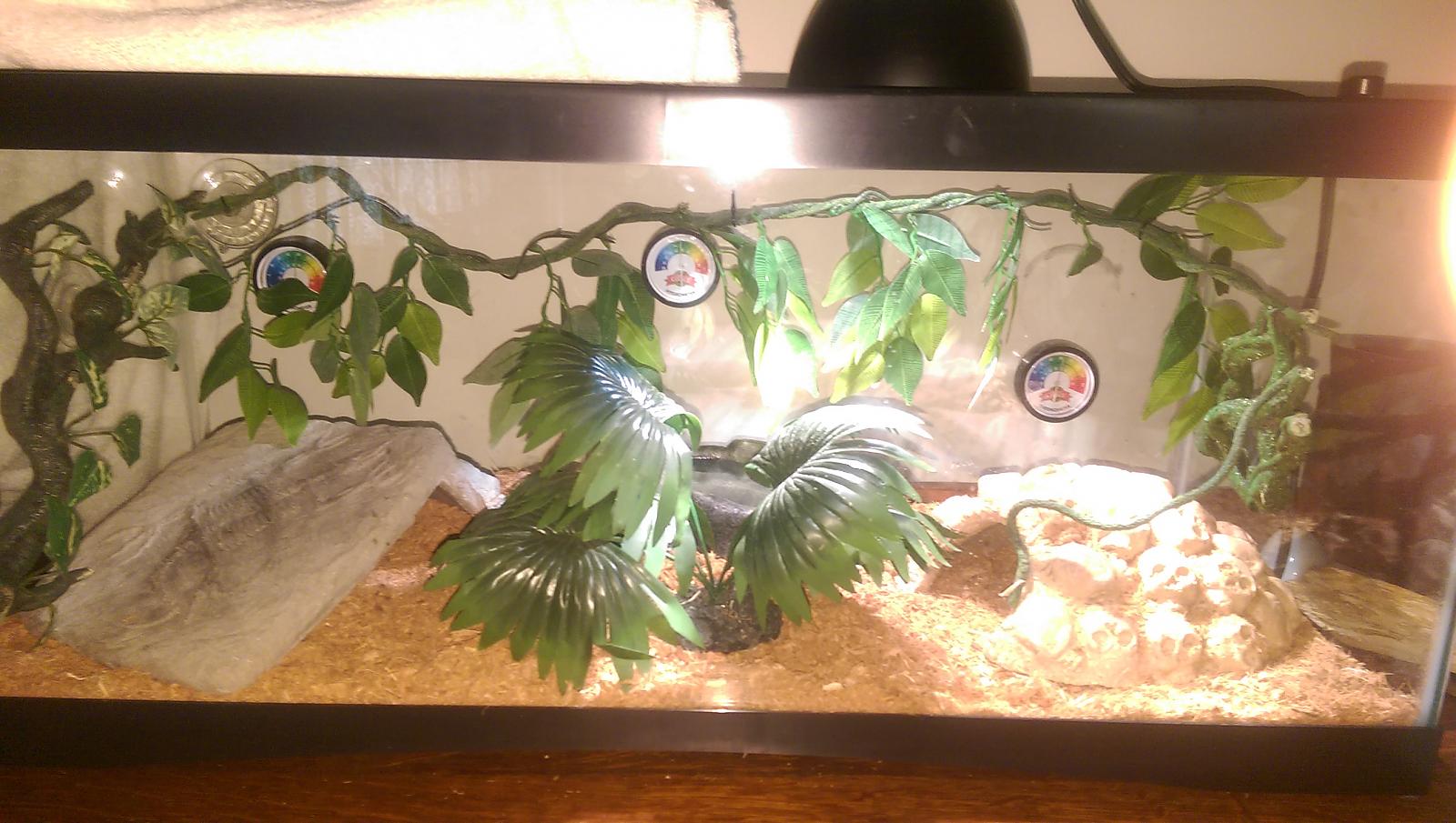 FireFly BP enclosure