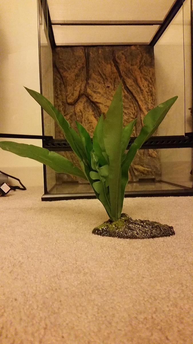 Fake plant