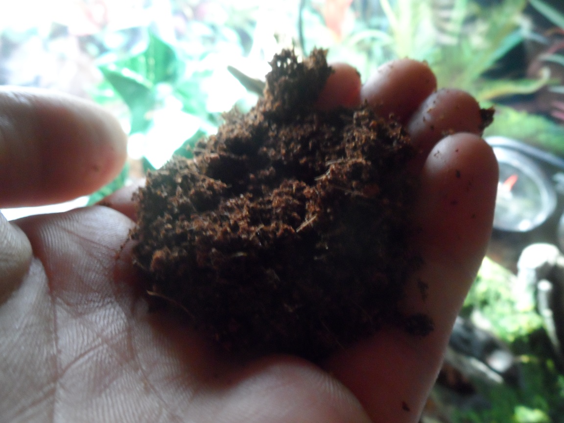Eco Earth Coconut Substrate