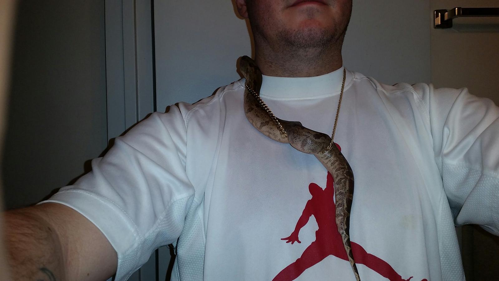 My baby boa