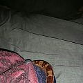 hiding