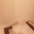 Bugs in the perch