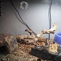 Onyx's Enclosure
