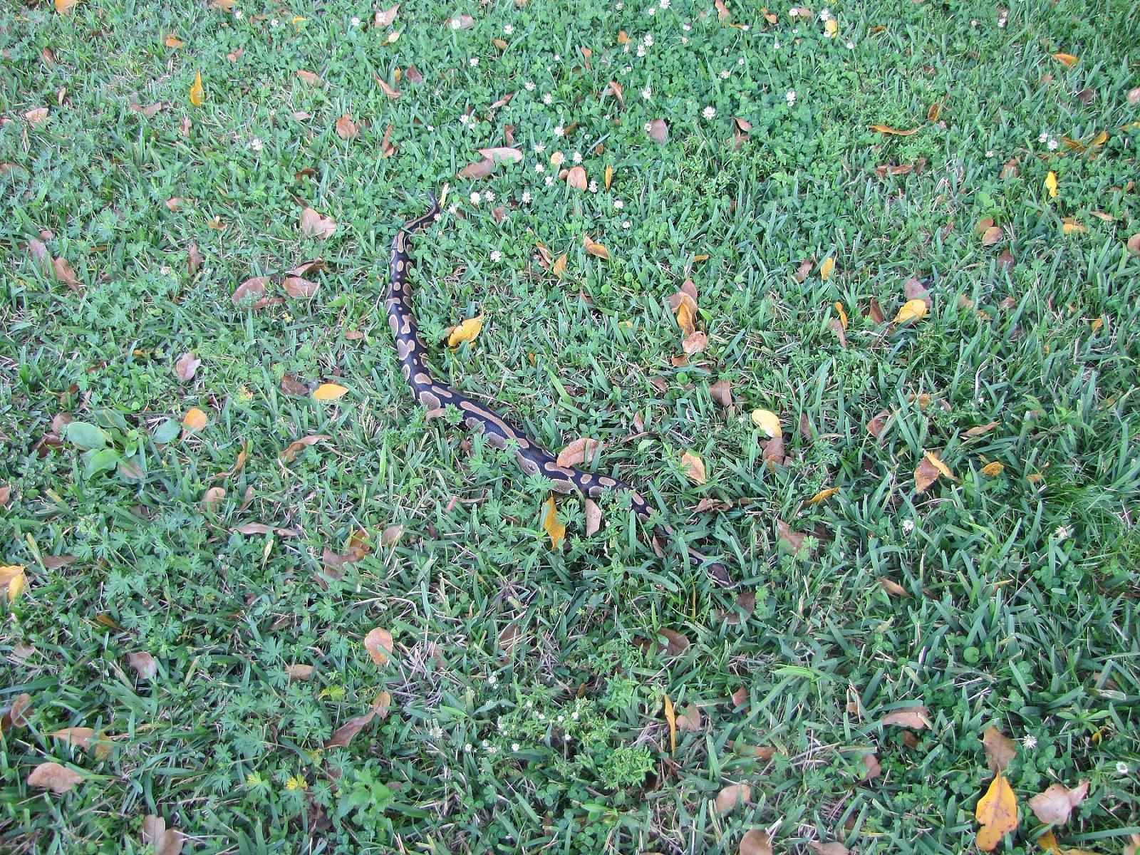 img 1567