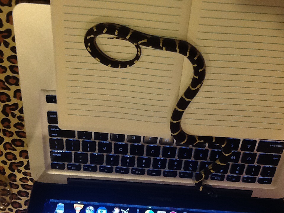 image 153454