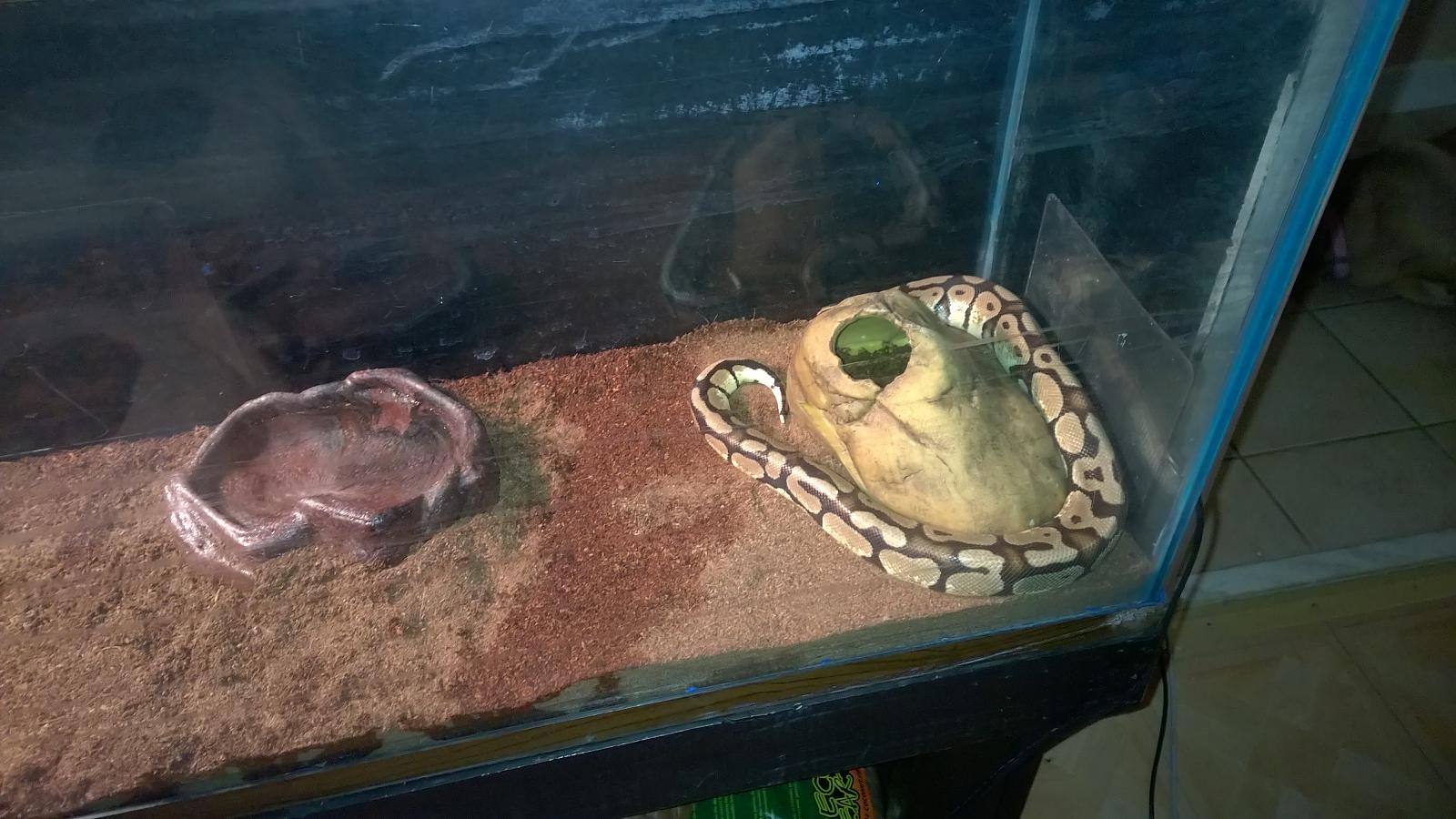 Tank setup