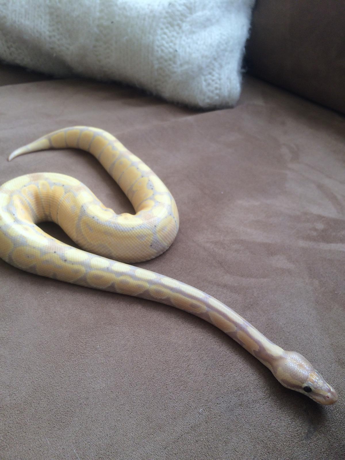 image 958160