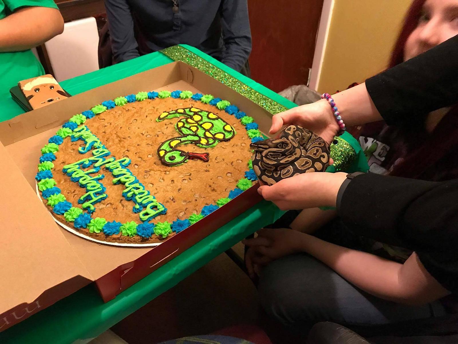 Mr Snake's Birthday