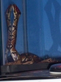 Our '07 ball python