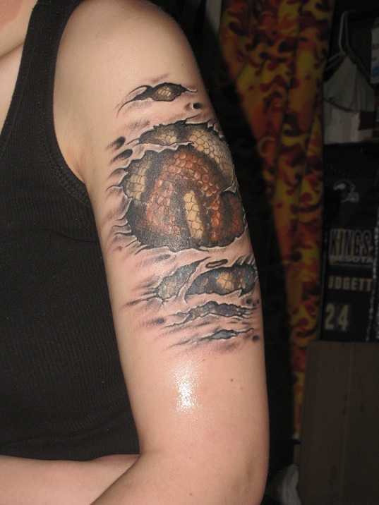 boa tattoo Gallery