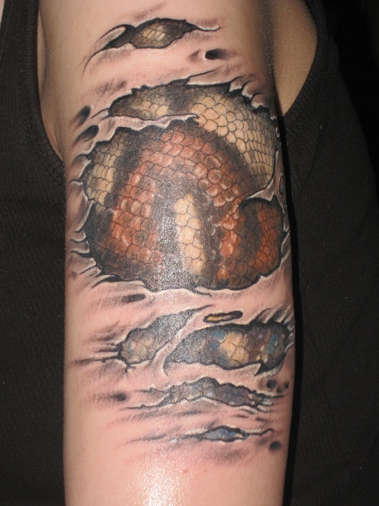 boa tattoo Gallery