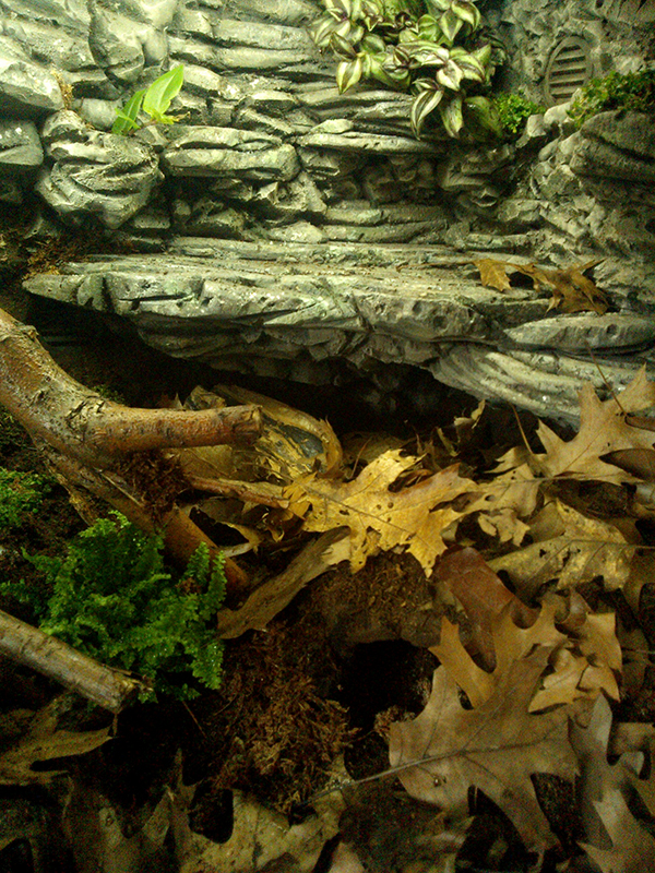 Opal's Vivarium