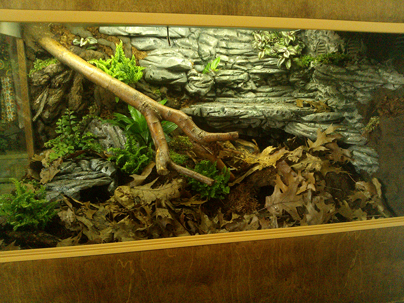 Opal's Vivarium