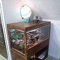 Opal's Vivarium