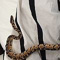 img 0713