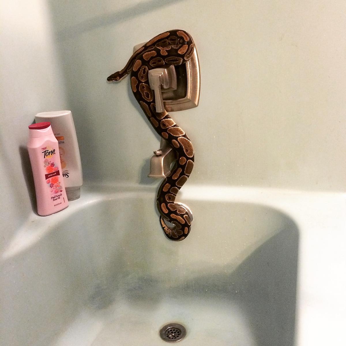 image 487044