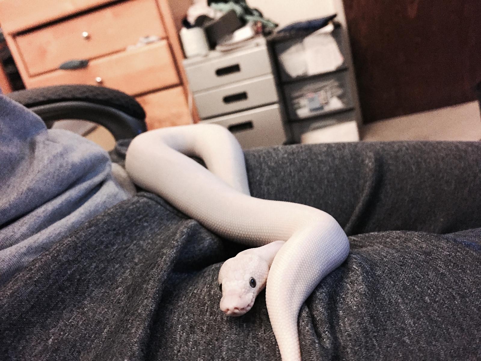 Hanging out