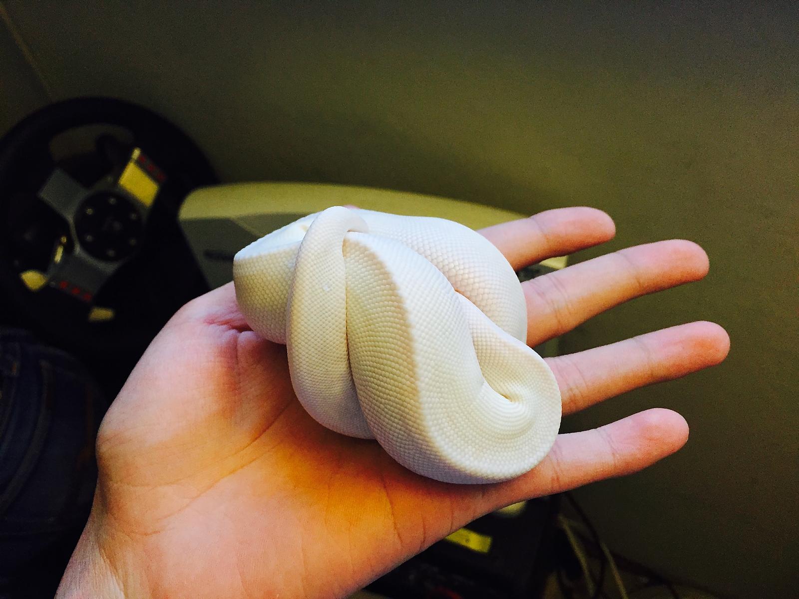 Day 1, tiny little ball