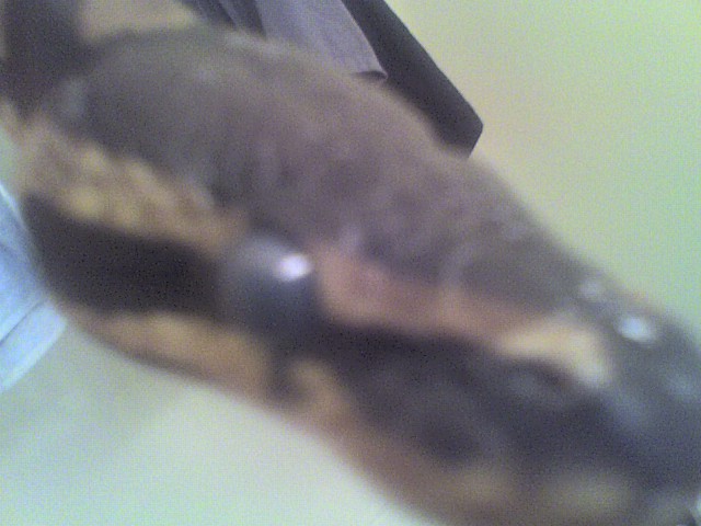 Close Up